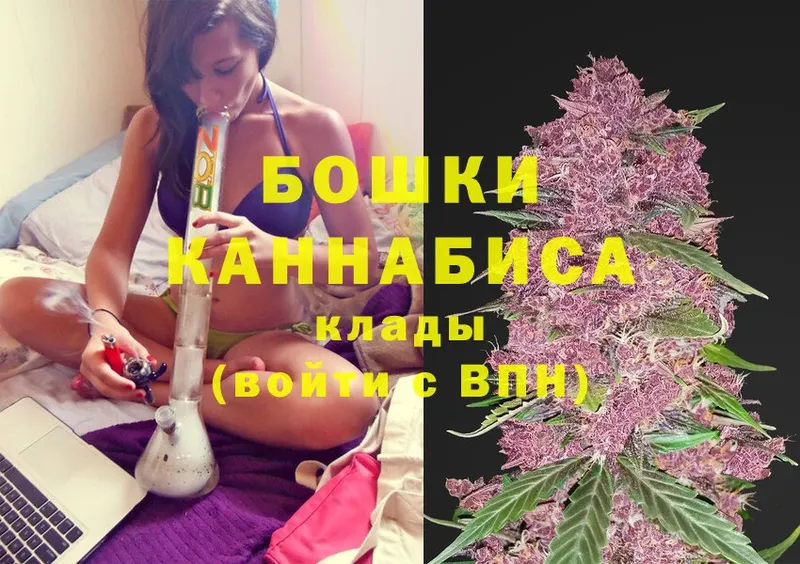 купить наркоту  Верхняя Пышма  Бошки марихуана White Widow 